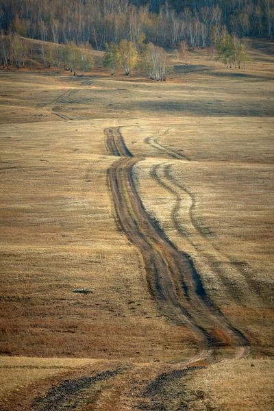 Rural Road Leading Autumn Forest — Stock Photo, Image