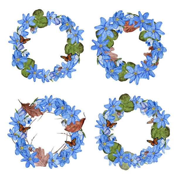 Hepatica blue spring flowers wreath set. Watercolor design. Isolated on white background. — Stock Fotó