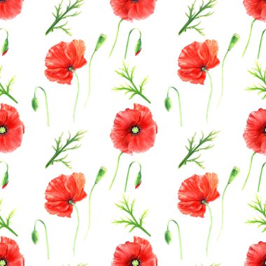 Seamlesss pattern with red wild poppies, leaves and buds. Hand drawn watercolor illustration isolated on white. For decor, textile, fabric, wrapping.