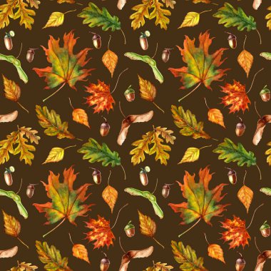 Sonbahar meşesi, akçaağaç, huş ağacı renkli yapraklar ve tohumlarla suluboya desenleri. El çizimi suluboya çizimi. Paket, dekor, tekstil, kumaş için.