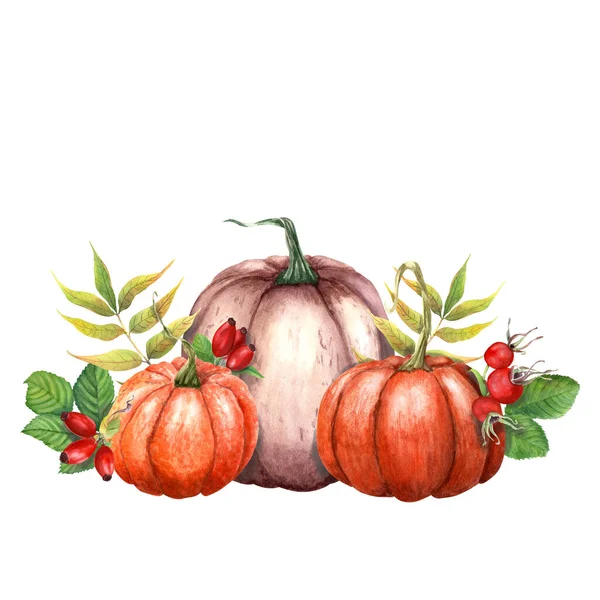 Herbstliche Komposition Mit Bries Und Kürbissen Handgezeichnete Aquarell Illustration Isoliert — Stockfoto