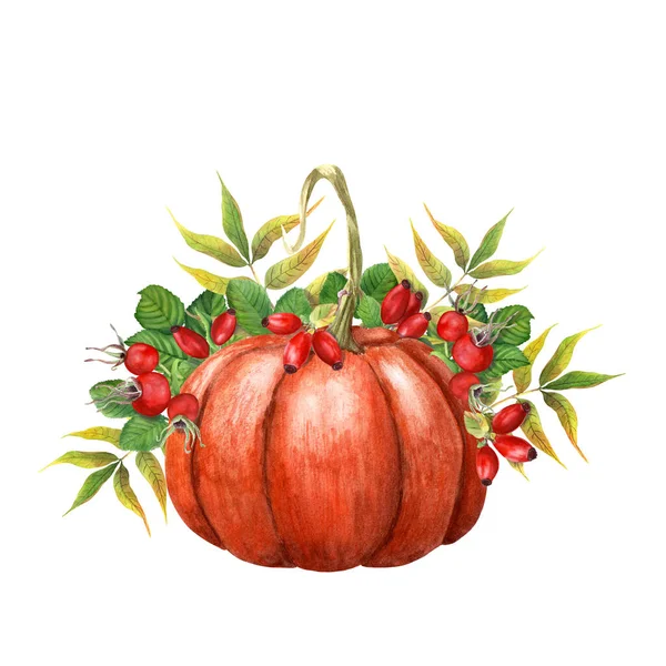 Herbstliche Komposition Mit Bries Und Kürbissen Handgezeichnete Aquarell Illustration Isoliert — Stockfoto