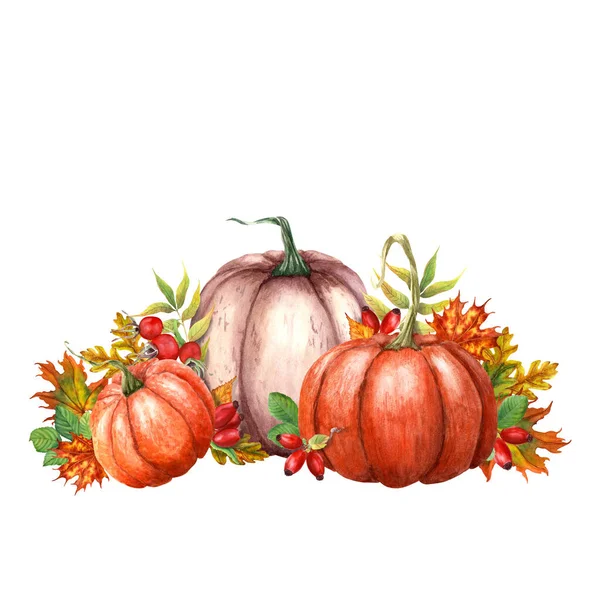 秋天的构图与荆棘 南瓜和树叶 手绘水彩画孤立在白色上 剪贴画 — 图库照片