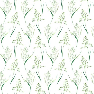 Çimen tipli kusursuz desenler, mavi çimler, beyaz arka planda izole edilmiş el çizimi suluboya çizimleri. Dekor, tekstil, kumaş, ambalaj için.