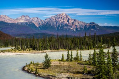 Canada Park Dağları Nehir Manzarası Athabasca Nehri Jasper Parkı