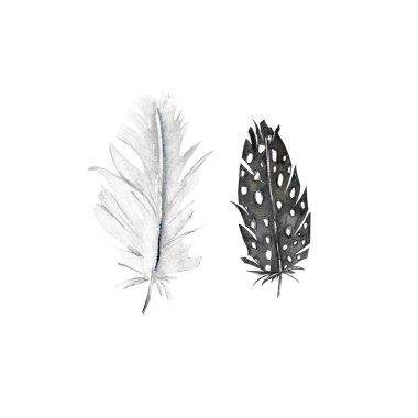 Dekor için şirin suluboya tüylü klişe çizimi, kartlar