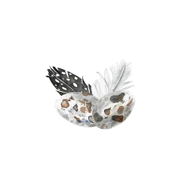 Пасхальный милый акварельный клипарт иллюстрация с яйцами, перо для декора, карты — стоковое фото