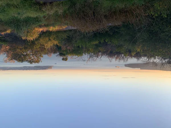 Altın şafak kuzeyde ve Sough Head Sydney
