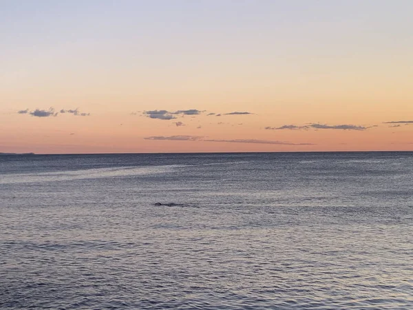 Sakin okyanusun üzerinde solgun gün doğumu