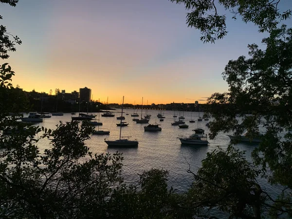 Siluet yelkenli teknelerle koyda altın gün doğumu