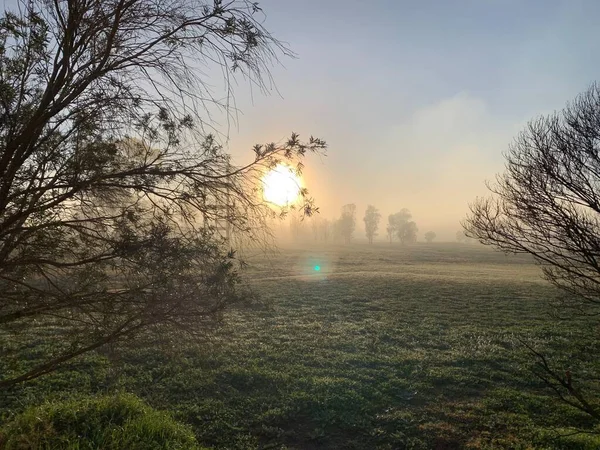 Güzel puslu, rurual manzara