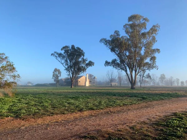 Çiftlik evinin puslu kırsal manzarası 