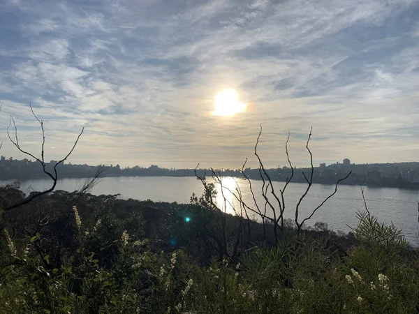 Önünde dikenli bitkilerle okyanusun üzerinde gün doğumu
