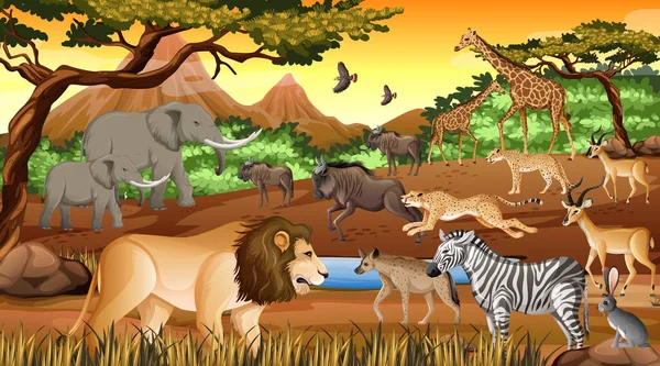 Grupp Vilda Afrikanska Djur Skogen Scenen Illustration — Stock vektor