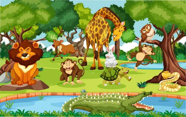 Wilde Tiere Dschungel Illustration — Stockvektor