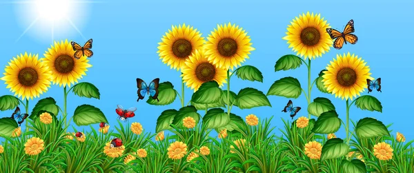 Mariposas Volando Campo Girasol Ilustración — Vector de stock
