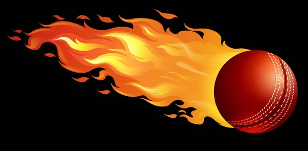 火の図にクリケットのボール — ストックベクタ