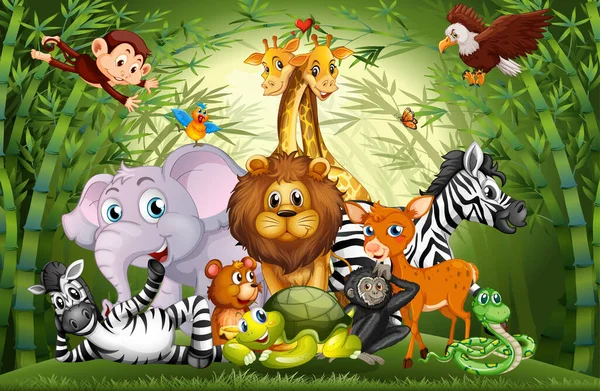 Πολλά Χαριτωμένα Ζώα Μπαμπού Δάσος Εικονογράφηση Διανυσματικά Γραφικά