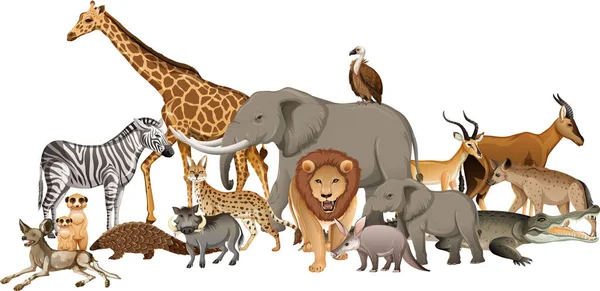 Группа Диких Африканских Животных Белом Фоне — стоковый вектор