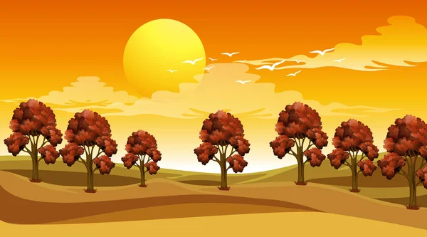 Szene Mit Bäumen Auf Dem Feld Bei Sonnenuntergang Illustration — Stockvektor
