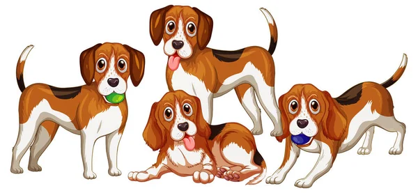 Grupa Psów Beagle Białym Tle Ilustracji — Wektor stockowy