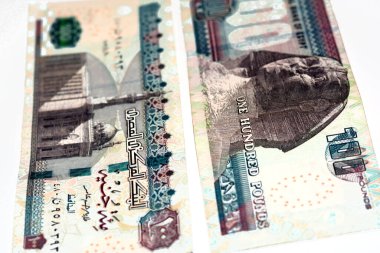 100 LE 100 Mısırlı banknot seçici odak, ters tarafta Sultan Hasan Camii Kahire 'nin görüntüsü var, Mısır. Ters tarafta beyaz arkaplanda izole edilmiş bir Sfenks resmi var