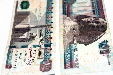 100 LE 100 Mısırlı banknot seçici odak, ters tarafta Sultan Hasan Camii Kahire 'nin görüntüsü var, Mısır. Ters tarafta beyaz arkaplanda izole edilmiş bir Sfenks resmi var