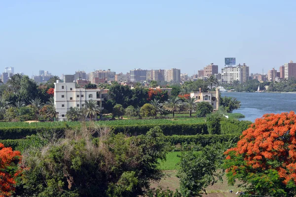 Dahab Island Golden Island Nile Giza Egypt Cairo Surrounded River — Stock Photo, Image