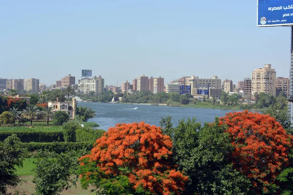 靠近开罗的吉萨埃及尼罗河的达哈布岛 被尼罗河包围着 — 图库照片