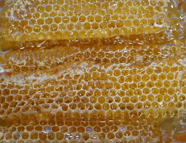 Hexagonala Bikaksceller Med Honung Som Håller Bidrottningens Ägg Och Lagrar — Stockfoto