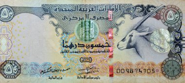 Birleşik Arap Emirlikleri 'nin 50 AED 50 Dirhams banknotunun ters tarafının büyük bir parçası. Bu banknotta, Arap Oryx' ı temsil ediyor.