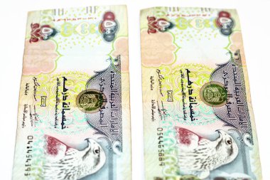 500 AED 'nin gözlemci tarafı Birleşik Arap Emirlikleri' nin 500 Dirhem banknotu, BAE 'nin para birimi sağında Sparrowhawk resmi, Emirliklerin seçici odak noktası para banknotları beyaz üzerine izole edilmiş.