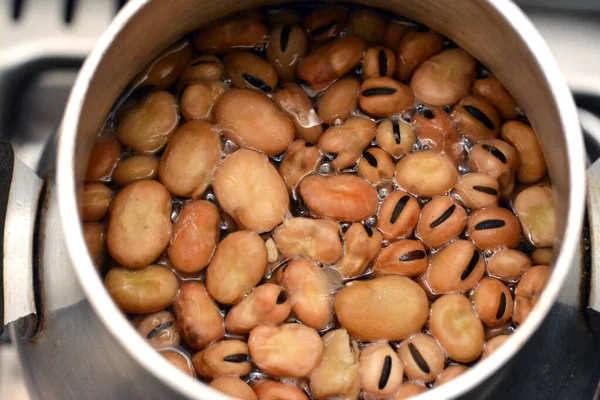 Raw Egyptian fava beans with water that is gently cooked in a bean cooker pot, cooked bean is the main dish and sandwich in the breakfast in Egypt and in Ramadan month before fasting, selective focus