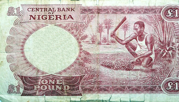 Eski bir Nijeryalı 'nın ters tarafının büyük bir parçası. İçinde tarihi hasat eden bir adam var. Eski bir Nijerya para banknotunun seçici odağı.