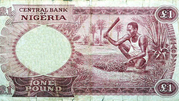 Eski bir Nijeryalı 'nın ters tarafının büyük bir parçası. İçinde tarihi hasat eden bir adam var. Eski bir Nijerya para banknotunun seçici odağı.