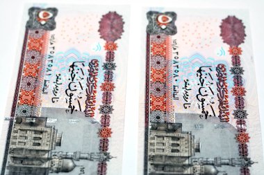 2012 yılı 50 LE 50 Mısırlı banknot serisi Ebu Hurayba Camii (Qijmas al-Ishaqi Camii), Mısır para banknotlarının seçici odak noktası beyaz arka plan