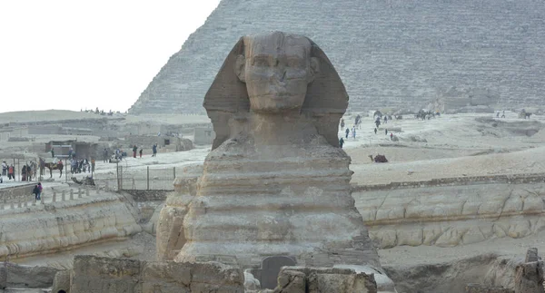 エジプト 2018年1月13日 背景にカーフレとピラミッド砂漠のピラミッドを含むギザの大スフィンクスのプロフィールは それはリクライニングスフィンクスの石灰岩の像です 選択的な焦点 — ストック写真