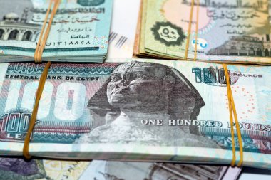 Mısır para yığını banknotlar beyaz arka planda izole edilmiş, Mısır sterlini yığını nakit para banknotları 200 LE, 100, 50, 20, 10, 5, 1 pound ve 50 kuruş, seçici odaklı