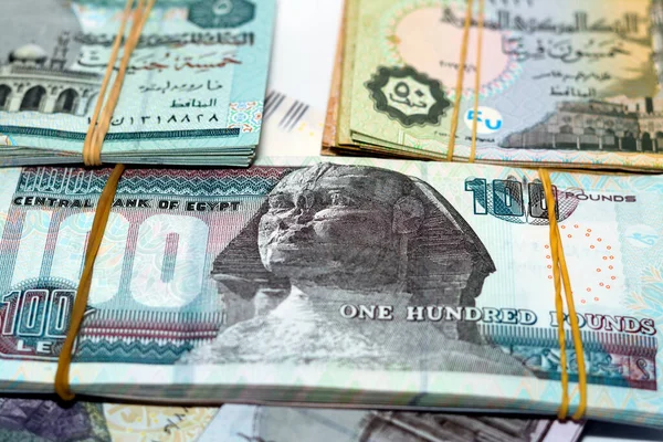 Egyiptomi Köteg Pénz Font Bankjegyek Elszigetelt Fehér Háttér Csomó Egyiptomi — Stock Fotó