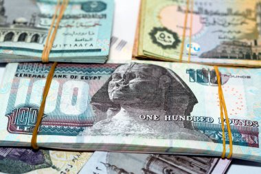 Mısır para yığını banknotlar beyaz arka planda izole edilmiş, Mısır sterlini yığını nakit para banknotları 200 LE, 100, 50, 20, 10, 5, 1 pound ve 50 kuruş, seçici odaklı