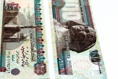 100 LE 100 £ters ve yüz Mısır para banknotları Beyaz arka planda izole Sultan Hasan cami ve Sfenks, Mısırlı para banknotları seçici odaklı