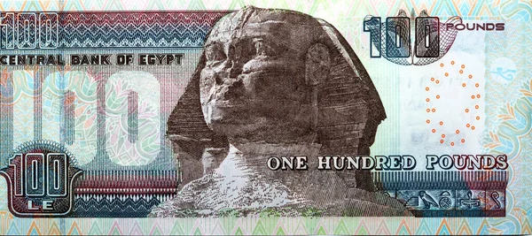 Large Fragment Reverse Side 100 One Hundred Egyptian Pounds Banknote — стокове фото