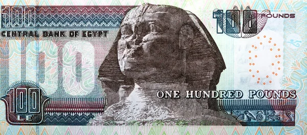 Large Fragment Reverse Side 100 One Hundred Egyptian Pounds Banknote — Stockfoto