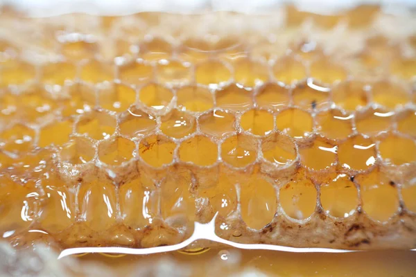 Hexagonala Bikaksceller Med Honung Som Håller Bidrottningens Ägg Och Lagrar — Stockfoto