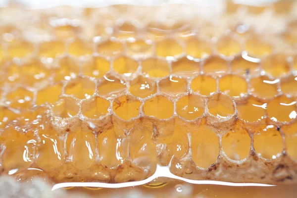 Células Panal Hexagonales Con Miel Que Contienen Los Huevos Abeja — Foto de Stock