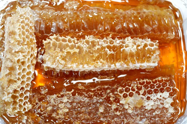 蜂窝状蜂窝状蜂窝状蜂窝状蜂窝状蜂窝 蜂窝里有蜂后的卵 蜂窝里有工蜂带给蜂窝的花粉和蜂蜜 蜂窝里有大量的原始蜂蜡细胞 用来储存蜂蜜 幼虫和花粉 — 图库照片