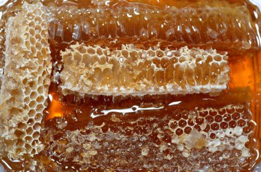 Kraliçe arının yumurtalarını saklayan ve işçi arıların kovanlarına getirdikleri polen ve balı saklayan ballı altıgen bal peteği hücreleri bal, larva ve polen depolamak için inşa edilmiş prizmatik balmumu hücreleri.