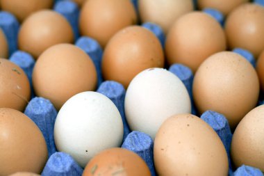 Organik kahverengi tavuk yumurtalarının seçici odak noktası insan vücudu için hayati önem taşıyan bir çok besin içerir. Doldurulmuş yumurta kutusundaki bir grup taze kabuklu yumurta.