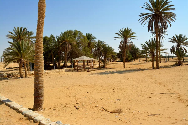 Prophet Moses Springs, Water wells and palms in Sinai Peninsula, Ras Sidr, Egypt, The Springs of Moses are a group of hot springs forming a small fertile oasis in the middle of Sinai desert