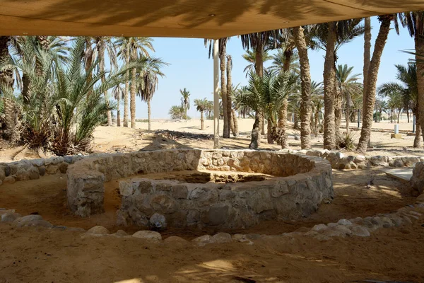 Prophète Moses Springs Puits Eau Palmiers Dans Péninsule Sinaï Ras — Photo